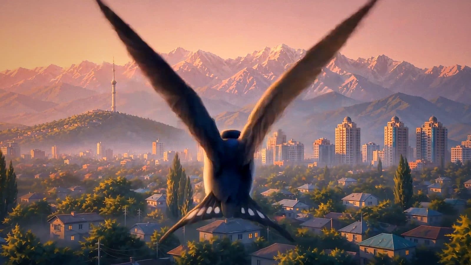 A swallow over Almaty — the film's first shot